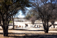 Botswana