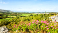 Ireland