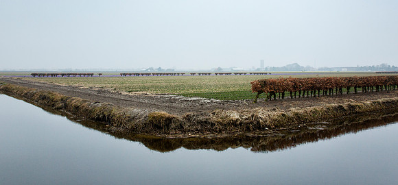 Keukehof