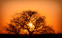 Travel page photos-photos